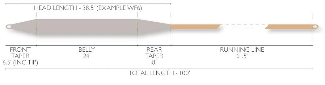 Fly Line WF10F D515210