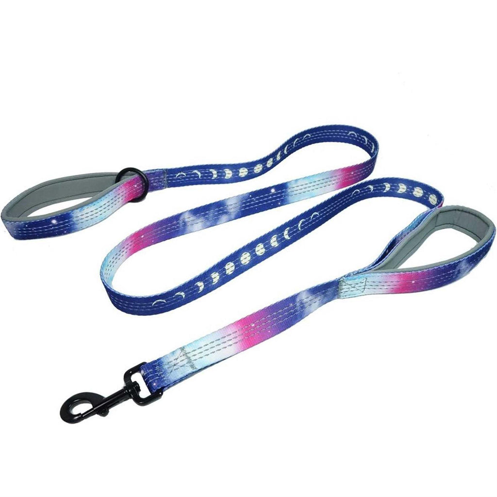 6ft Dog Leash Padded Handle T739180