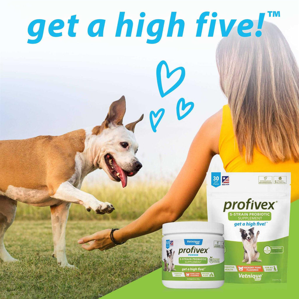 Probiotic Powder for Dogs & Cats D816