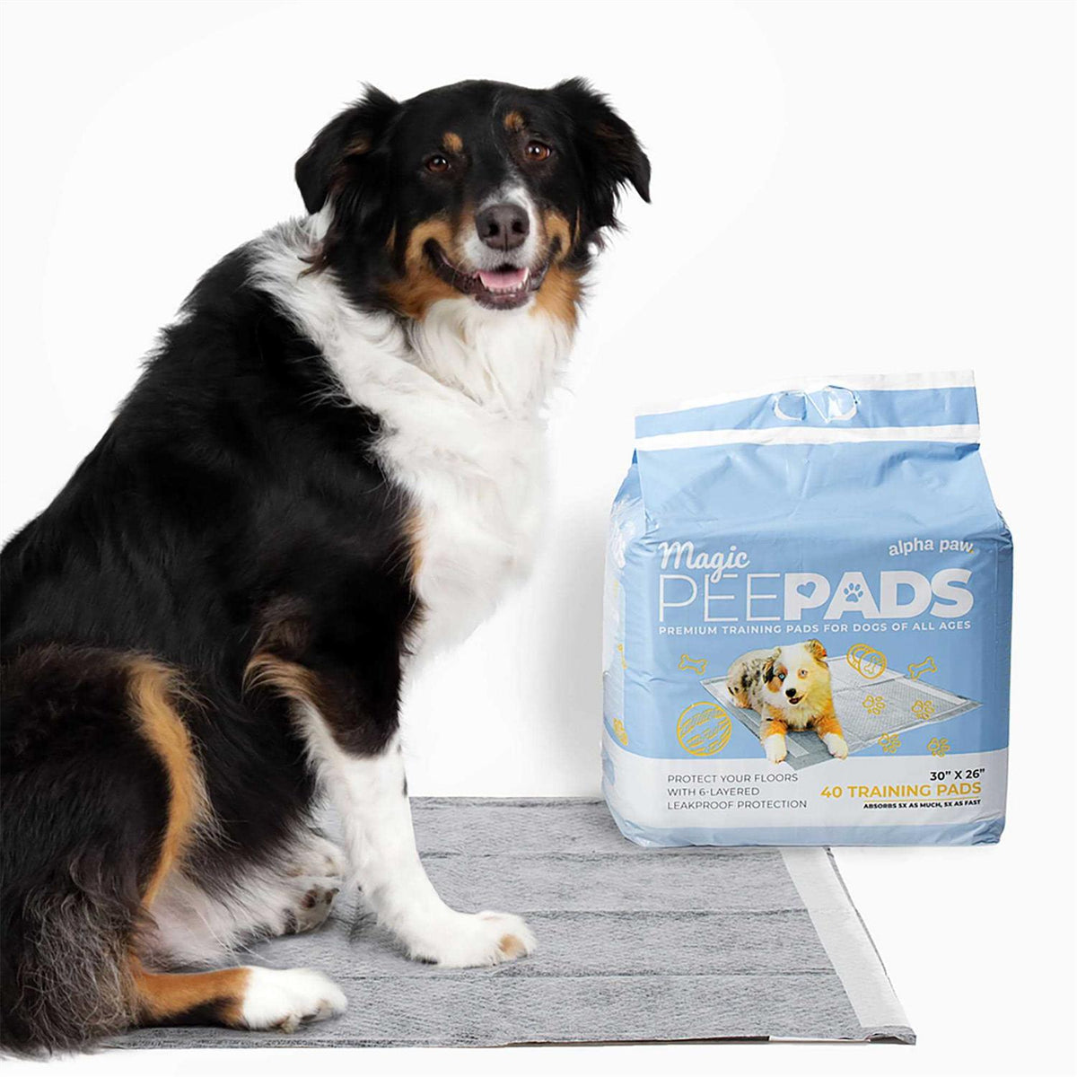 Dog Pee Pads V87223