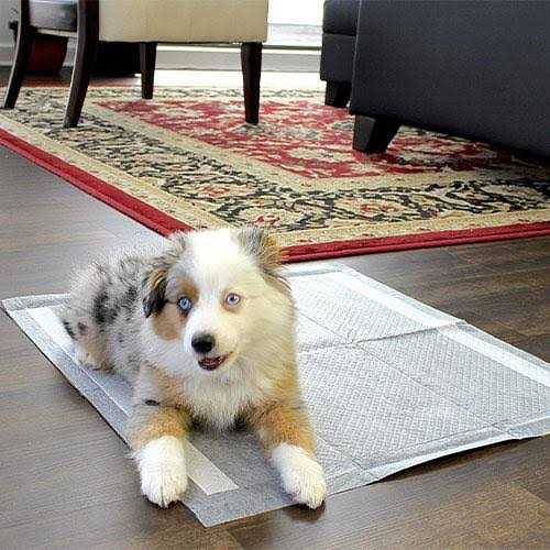 Dog Pee Pads V87223