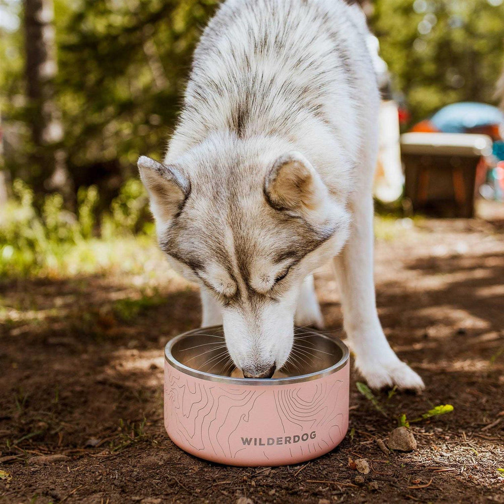 Stainless Steel Bowl N343872