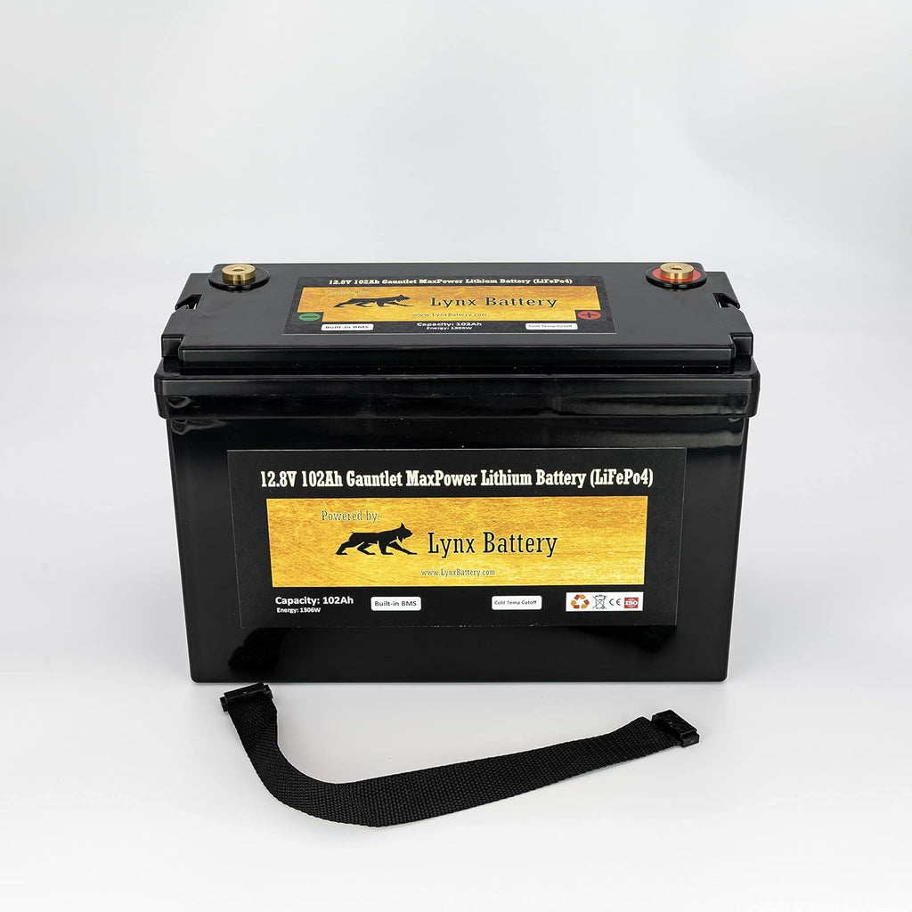 12V 100Ah Lithium Iron Phosphate LiFePO4 Battery with BMS N897
