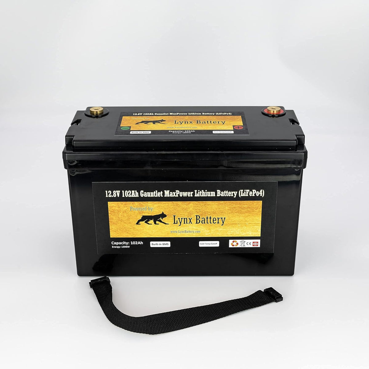 12V 100Ah Lithium Iron Phosphate LiFePO4 Battery with BMS N897