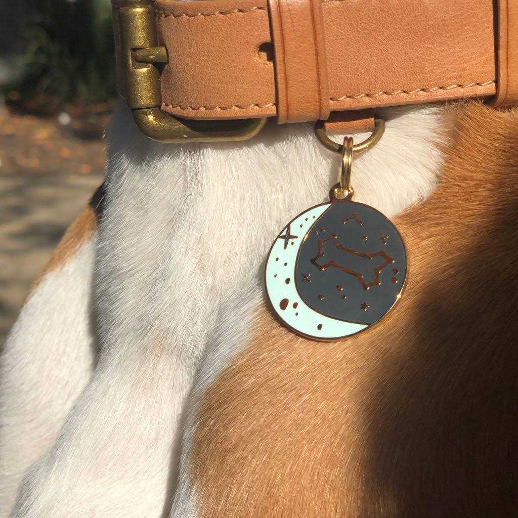 Zodiac Pet ID Tag J162