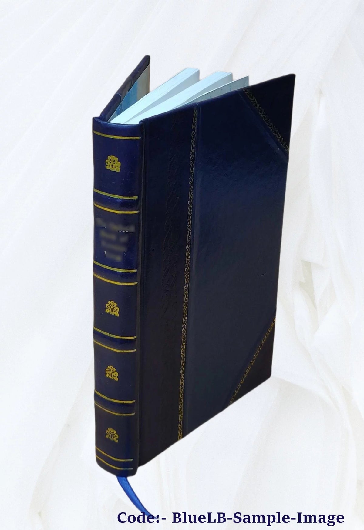 Voyage autour du monde Leather Y9973