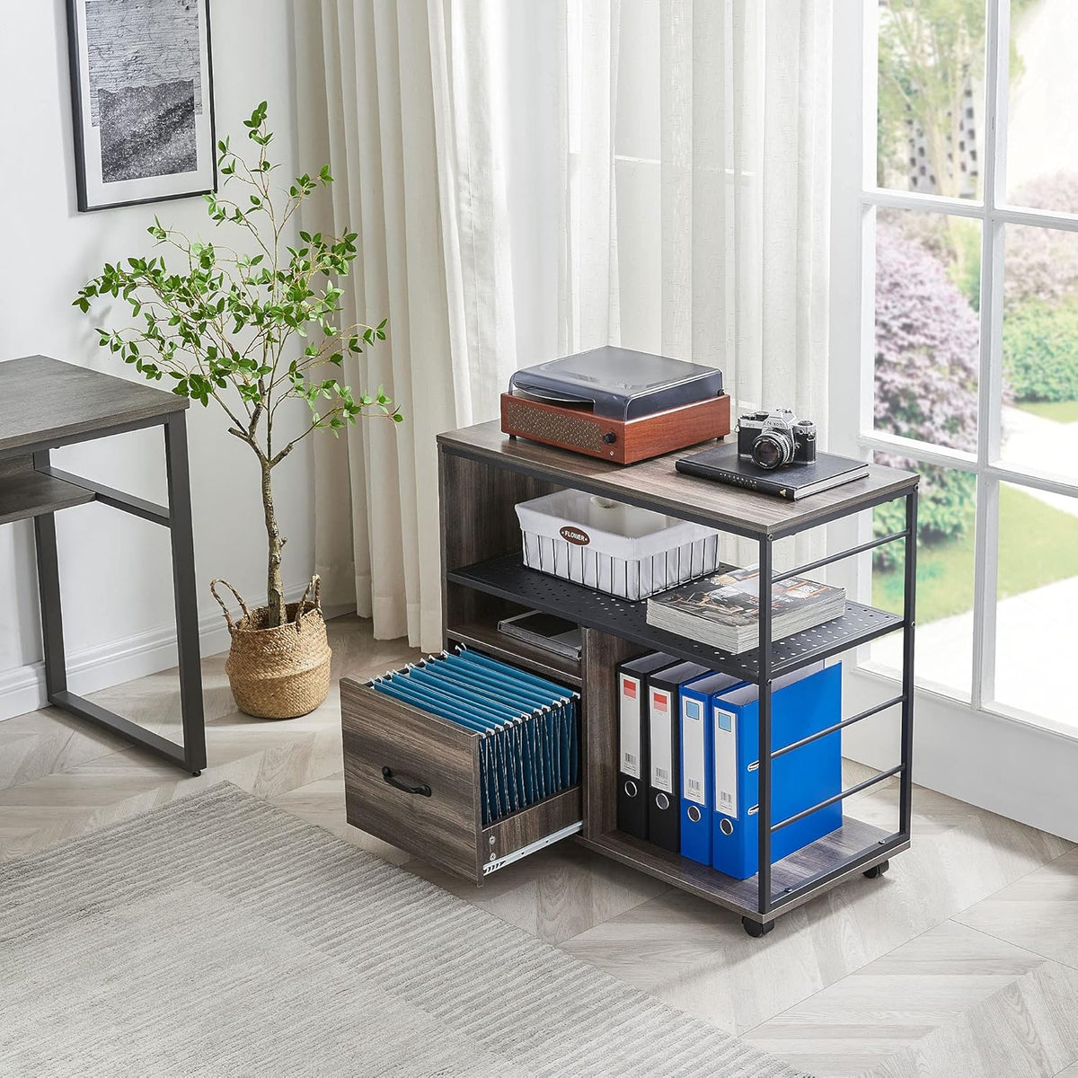 Industrial File Cabinet with Wheels R989