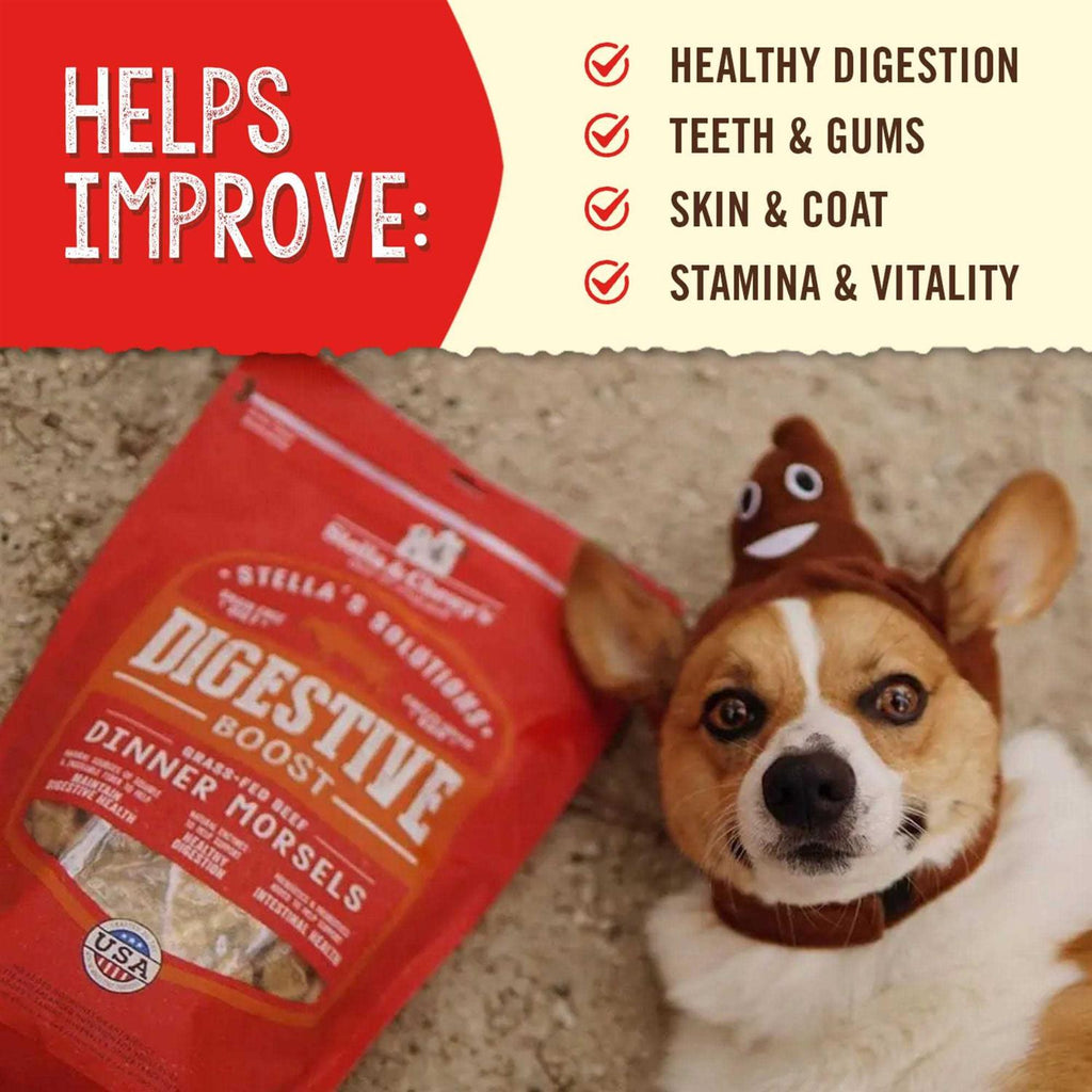 Freeze-Dried Beef Dog Food G437
