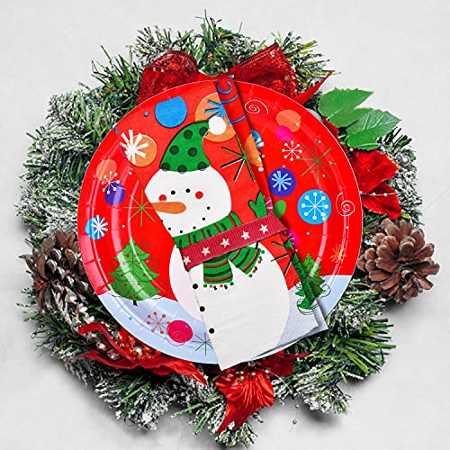 Christmas Snowman Disposable Paper Dinner Plates and Napkins J309382