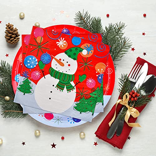 Christmas Snowman Disposable Paper Dinner Plates and Napkins J309382
