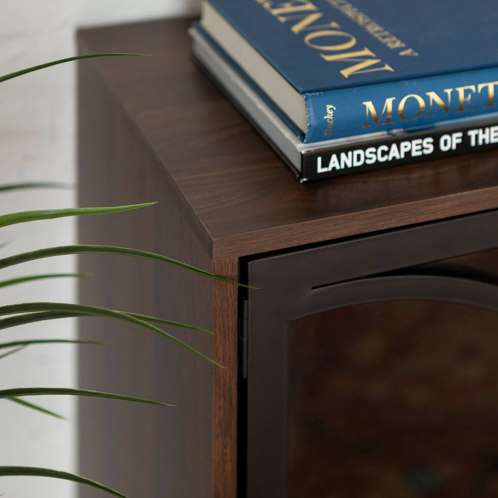 Metal and Glass Door Accent Console R989