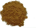Wild Rainbow Turkey Tail Mushroom Extract N711005