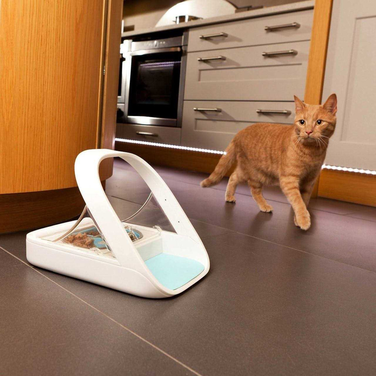 Microchip Pet Feeder C487
