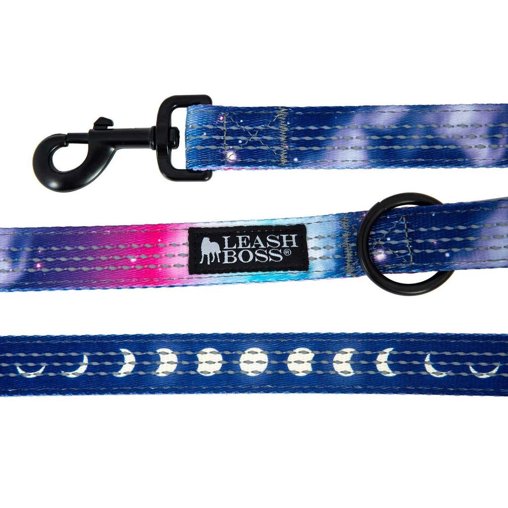 6ft Dog Leash Padded Handle T739180