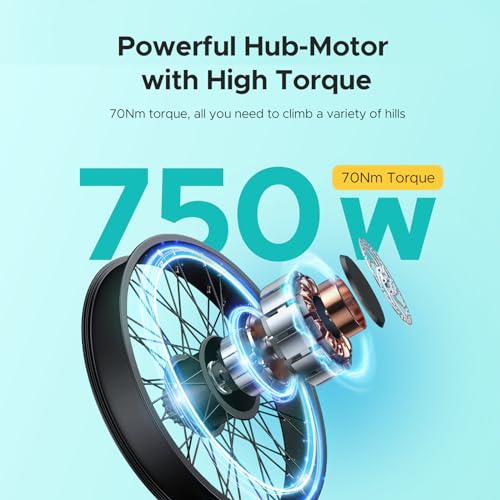 26" Fat Tire Electric Bike with 48V 16Ah Removable Lithium-Ion Battery B131563
