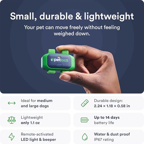 GPS Tracker Collar with App, Waterproof, 4-Month Subscription Included R826
