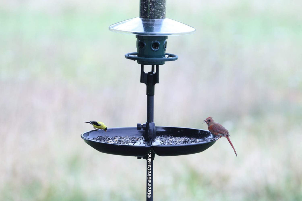 Pack of 2 Seed Catcher Tray for Wild Bird Feeders G660078