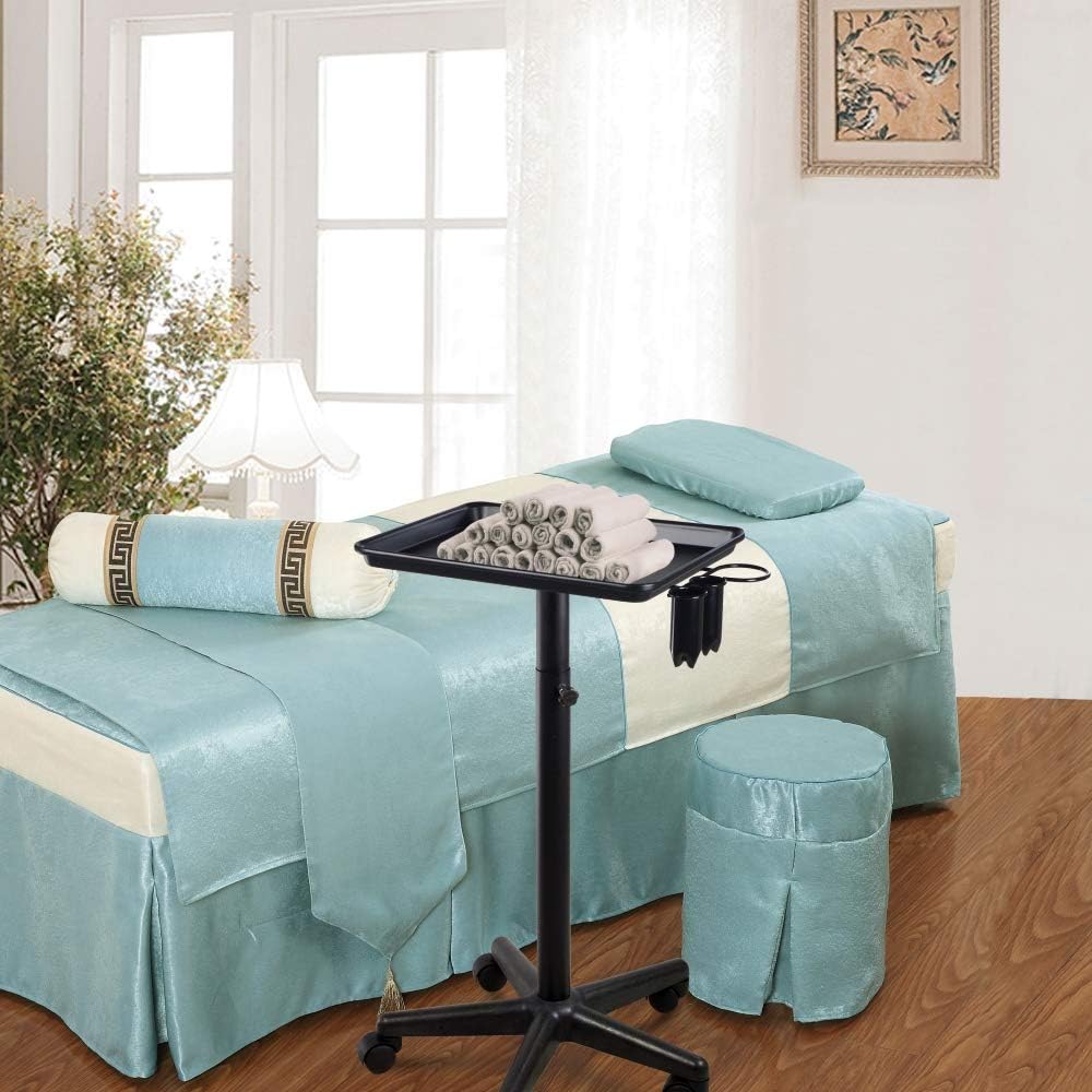 Aluminum Salon Tray with Accessory Caddy Rolling Trolley E709