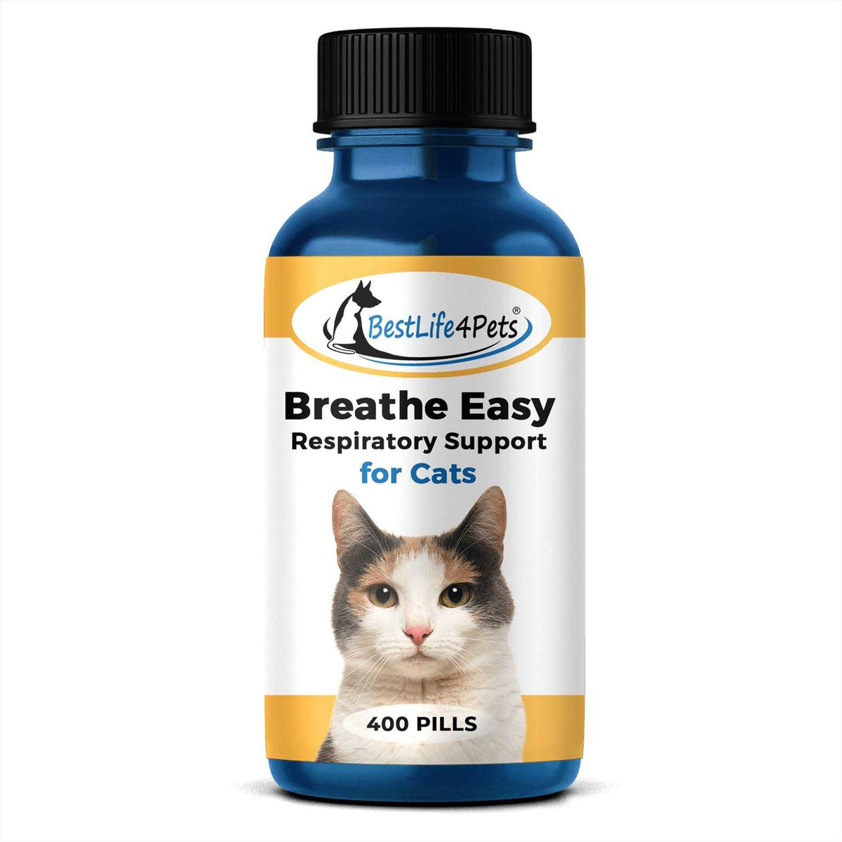 Cat Respiratory Support S91665