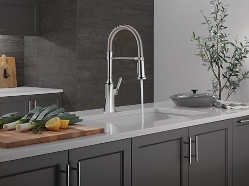 Brushed Nickel Kitchen Faucet with Pull Down Sprayer F930598