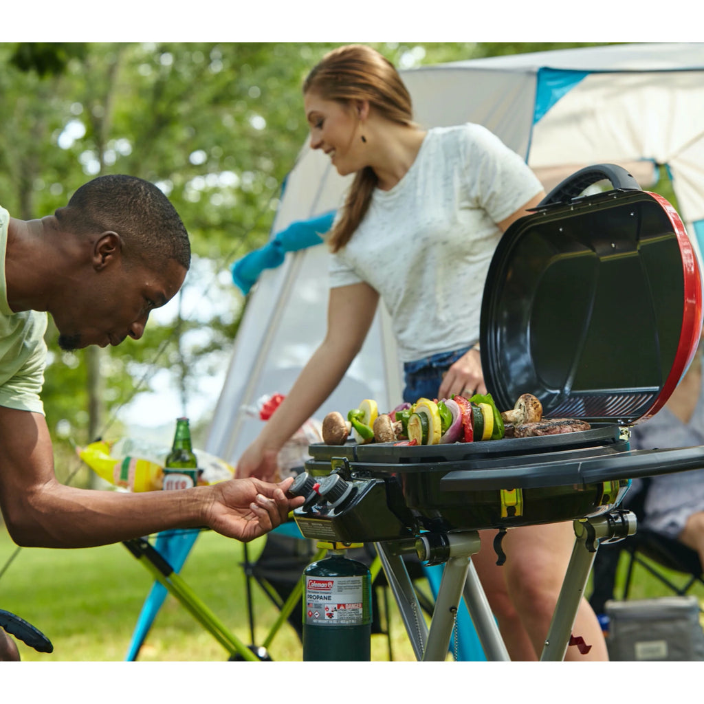 2 Burner Propane Gas Portable Grill J407178