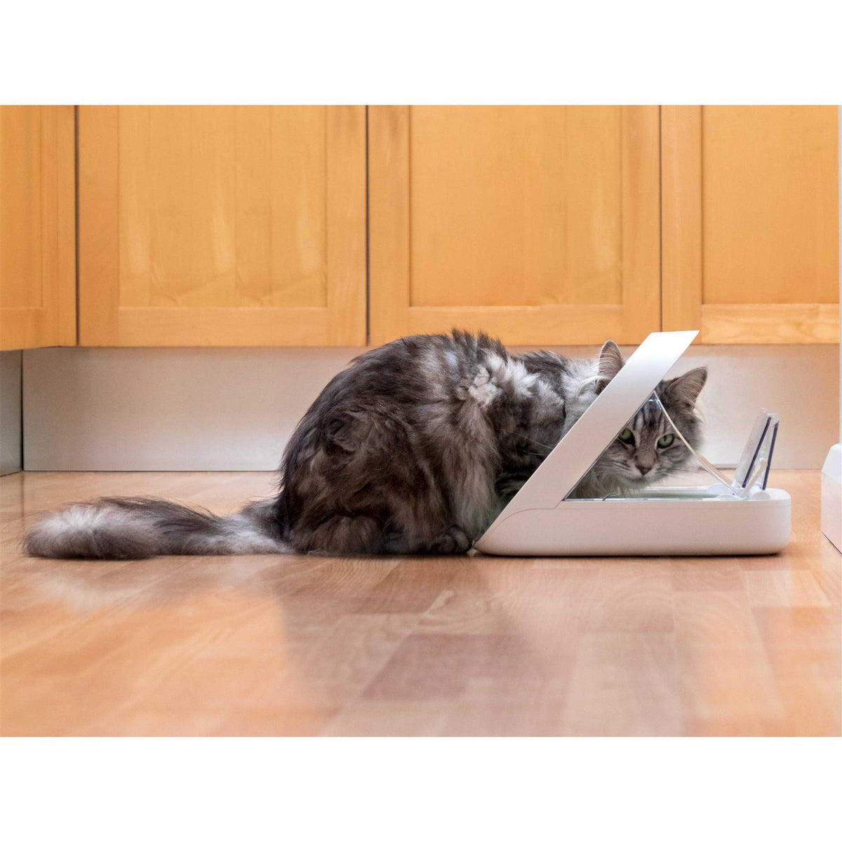 Microchip Pet Feeder C487