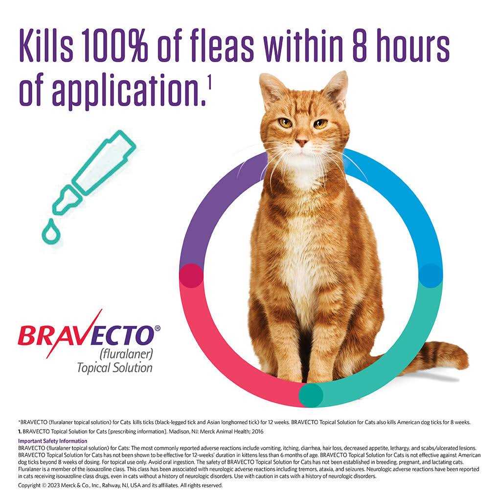Topical Solution for Cats V155529