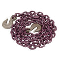 Tie Down Chain Assembly Q500791