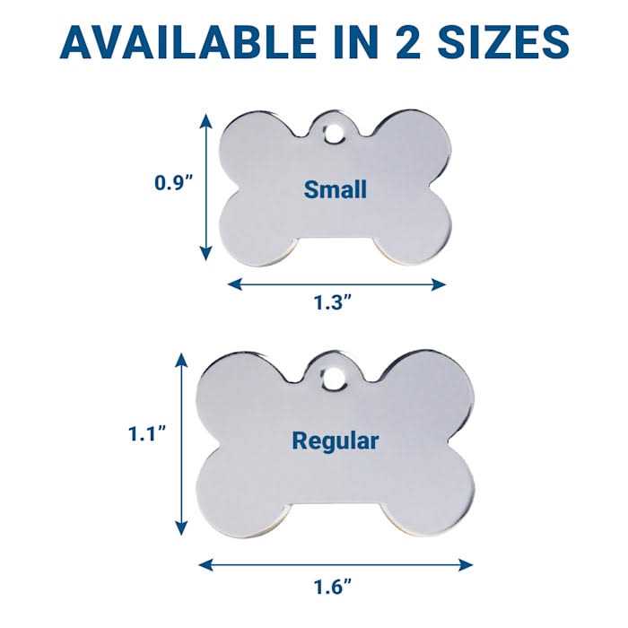 Stainless Steel Personalized Dog ID Tag W39382