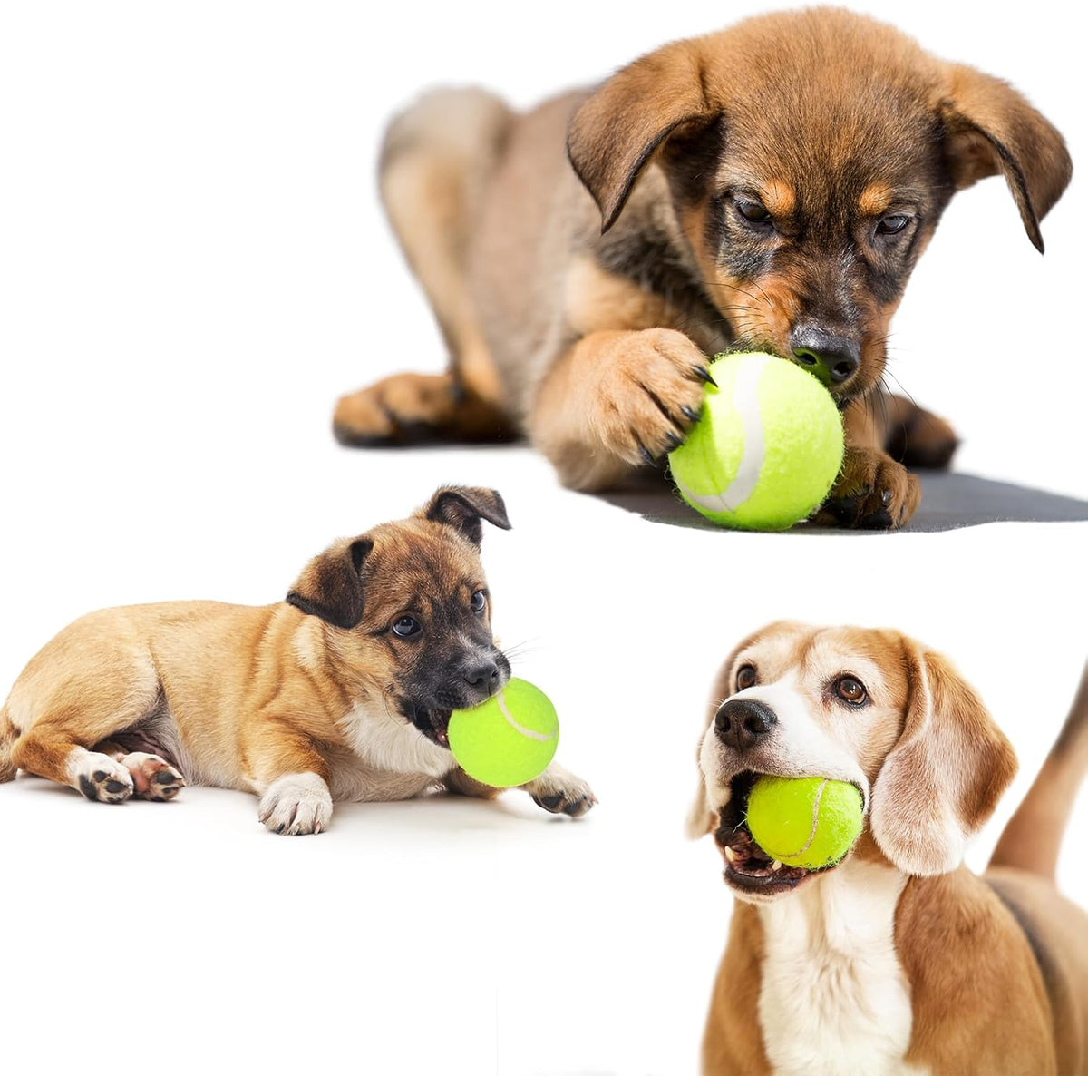 12 Pack 2inch Tennis Balls for Dogs C882466