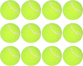 12 Pack 2inch Tennis Balls for Dogs C882466