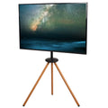 Foldable 43 to 65 inch TV Floor Stand Z8064