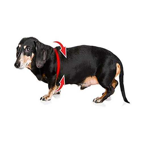 Pebble Grain Buddy Harness M290