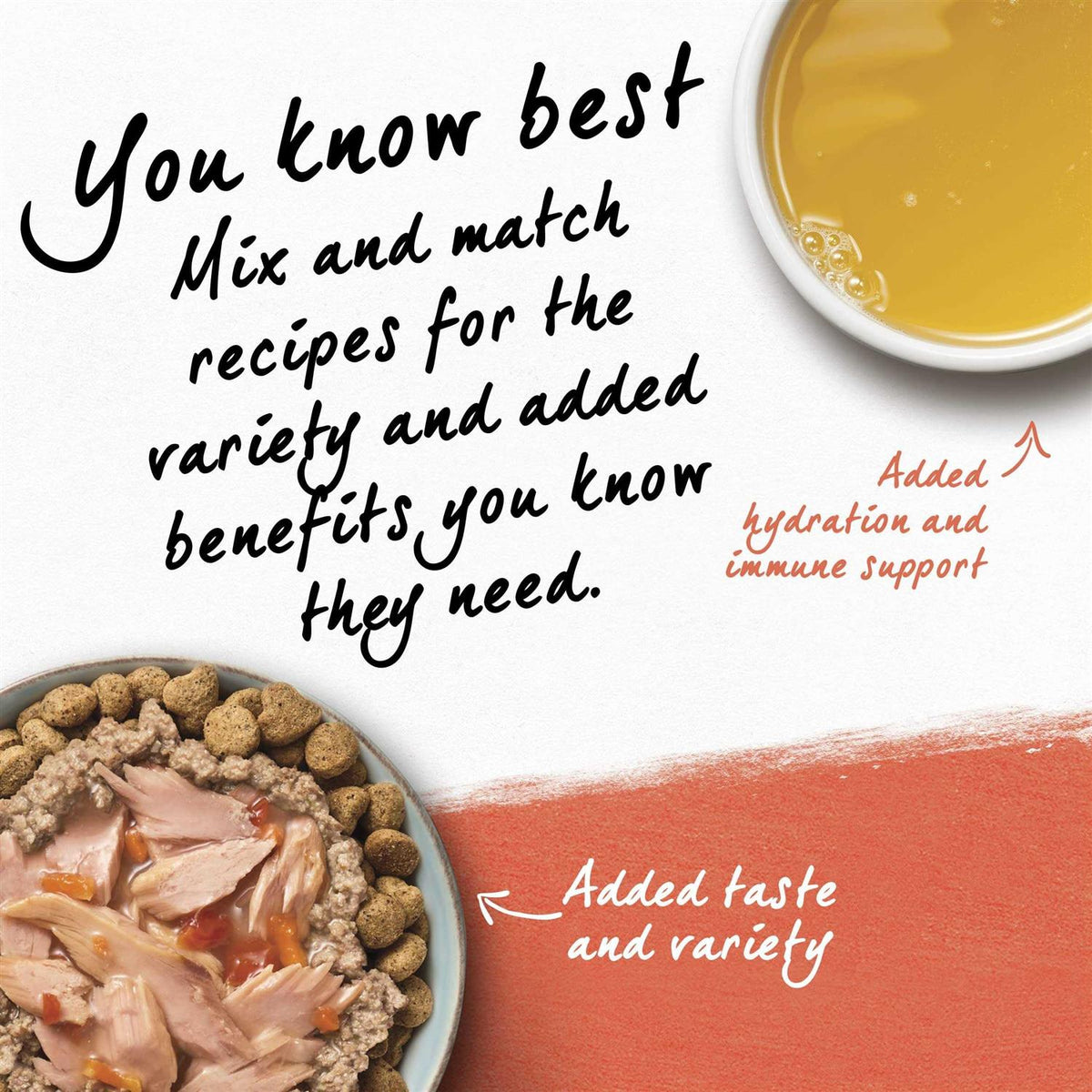 Organic Chicken Recipe Wet Dog Food Q15471