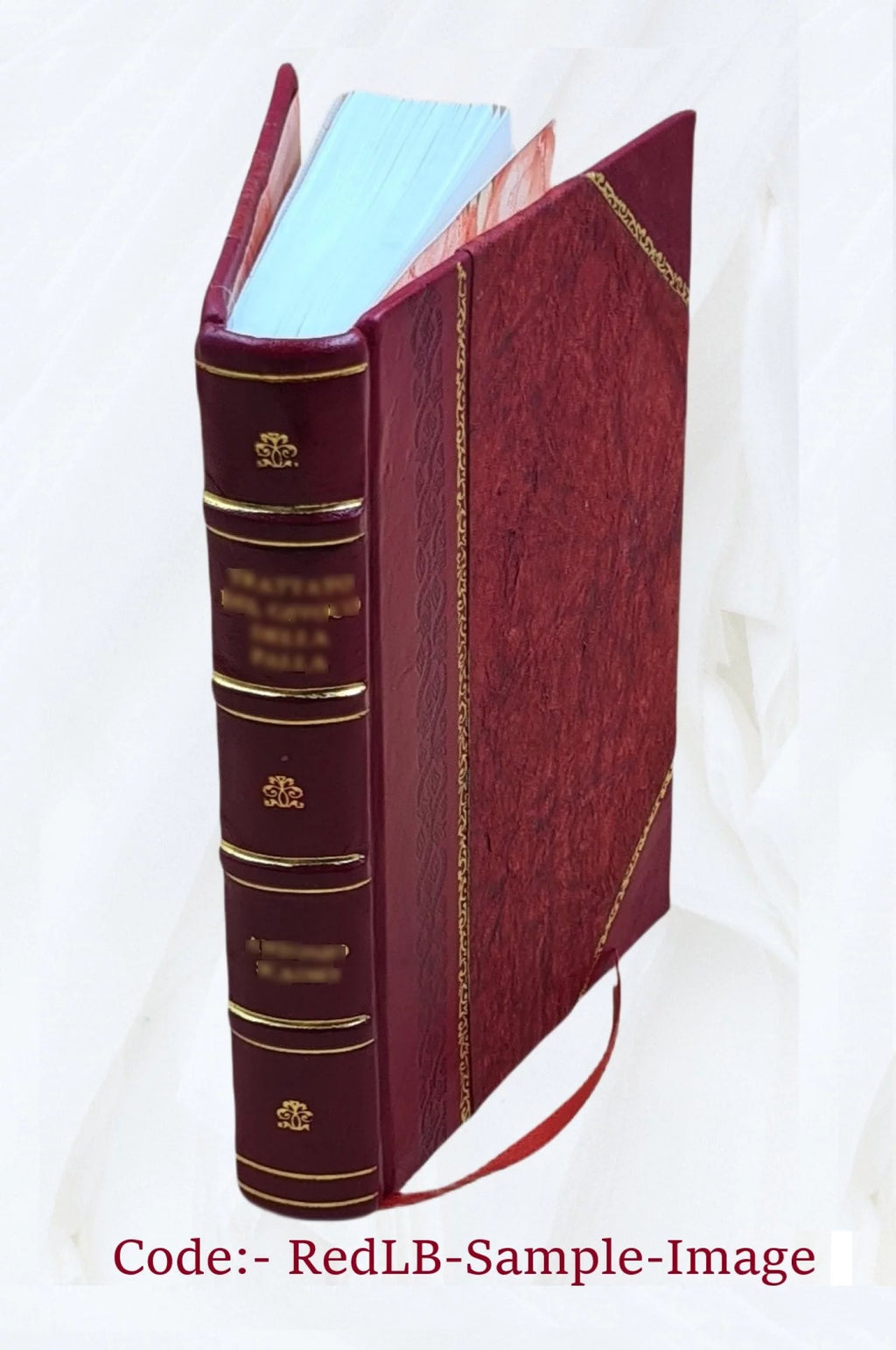 Voyage autour du monde Leather Y9973