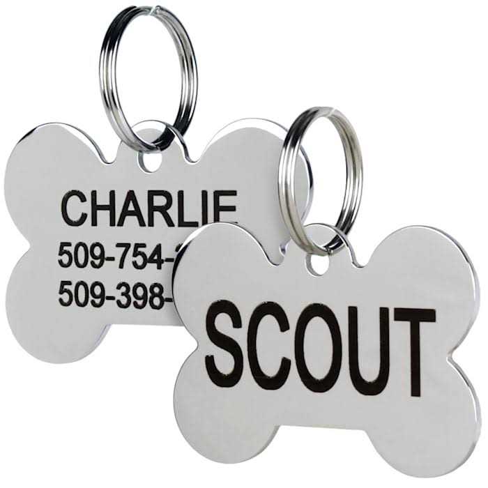 Stainless Steel Personalized Dog ID Tag W39382