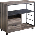Industrial File Cabinet with Wheels R989