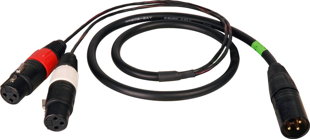 XLR Male to 2 XLR Female Cable Z5084