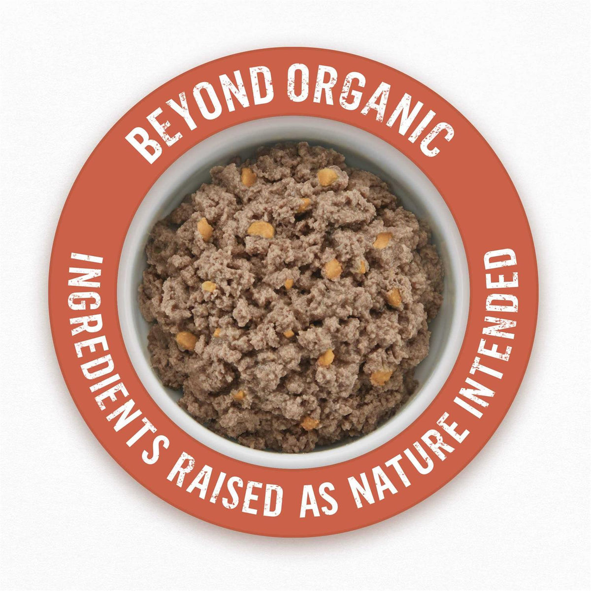Organic Chicken Recipe Wet Dog Food Q15471