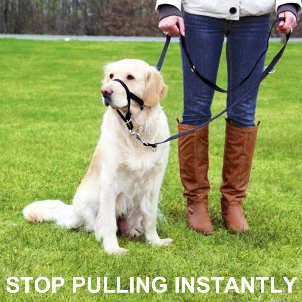 Dog Head Collar No Pull Training Tool O975