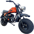200cc Mini Trail Bike with Automatic Transmission and Pull Start V512992