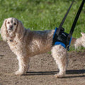 Back End Harness J437793