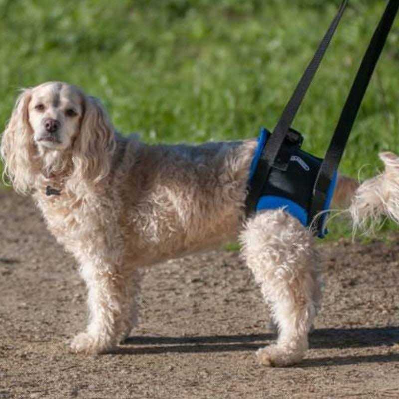 Back End Harness J437793