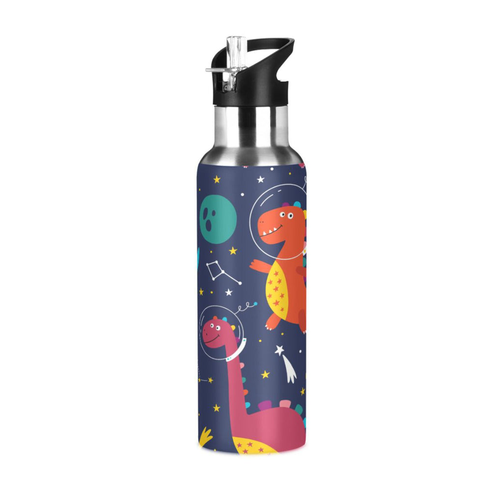 Stainless Steel Insulated Water Bottle with Straw Lid H6944