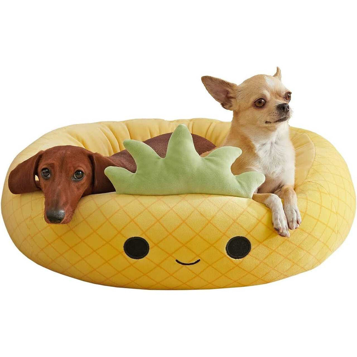Pineapple Pet Bed B6300