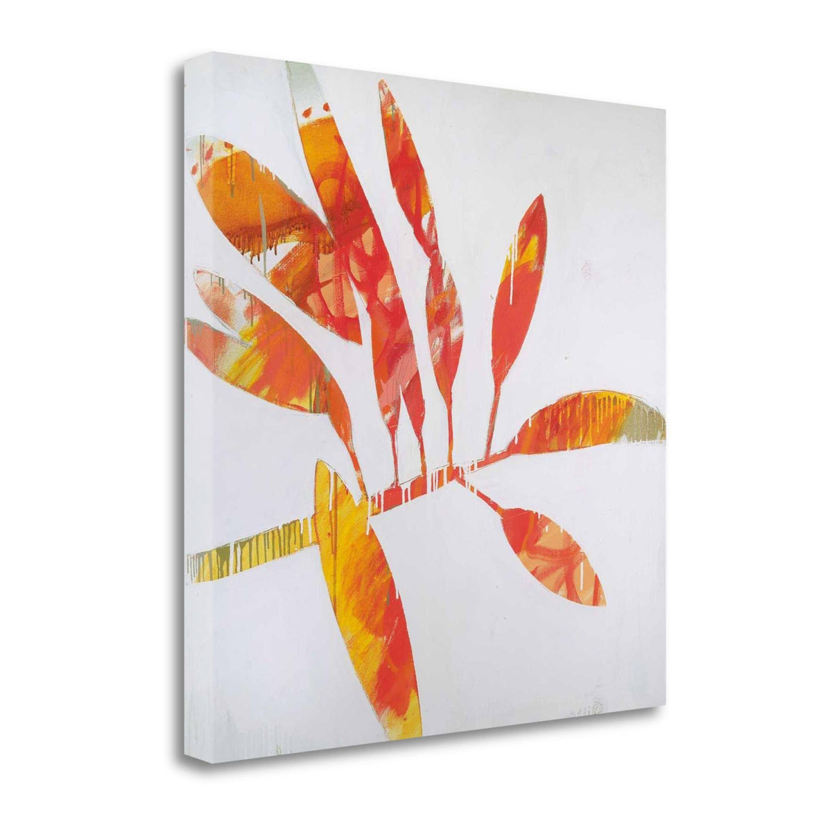Fine Art Giclee Print Z311589