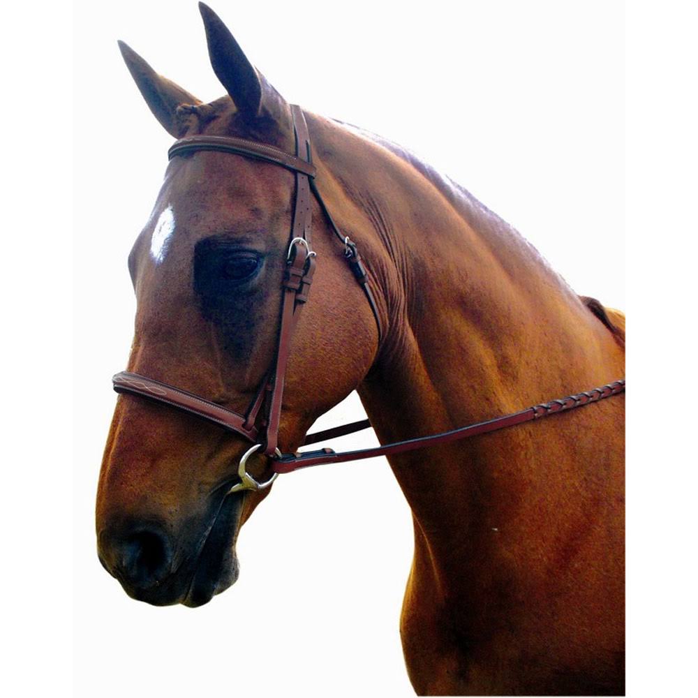 Bridle Z4222