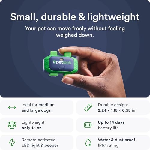 GPS Tracker Collar with App, Waterproof, 4-Month Subscription Included R826