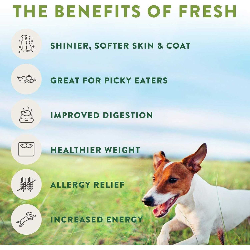 Chunky Beef Recipe Dog Food N67411