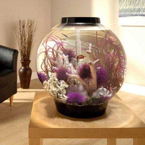 Classic 60 Aquarium with LED G6484